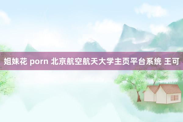姐妹花 porn 北京航空航天大学主页平台系统 王可