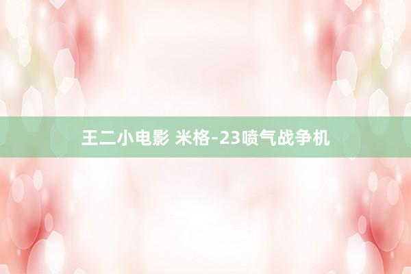 王二小电影 米格﹣23喷气战争机