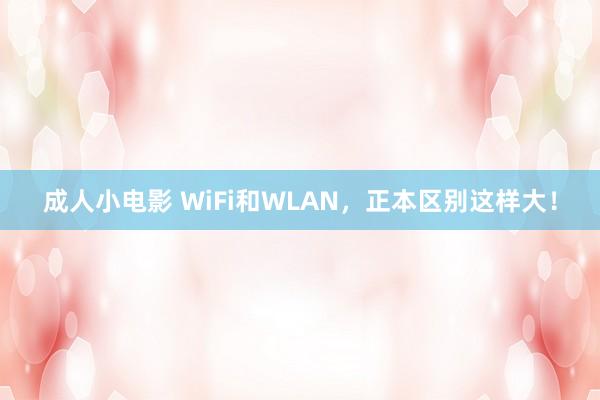 成人小电影 WiFi和WLAN，正本区别这样大！