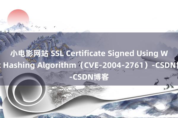 小电影网站 SSL Certificate Signed Using Weak Hashing Algorithm（CVE-2004-2761）-CSDN博客