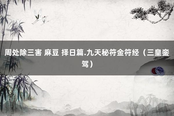 周处除三害 麻豆 择日篇.九天秘符金符经（三皇銮驾）