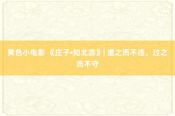黄色小电影 《庄子•知北游》| 遭之而不违，过之而不守