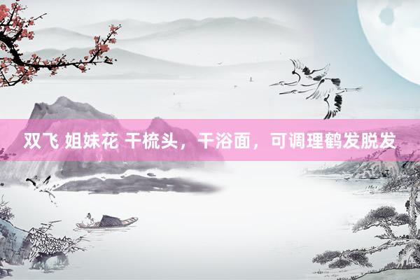 双飞 姐妹花 干梳头，干浴面，可调理鹤发脱发