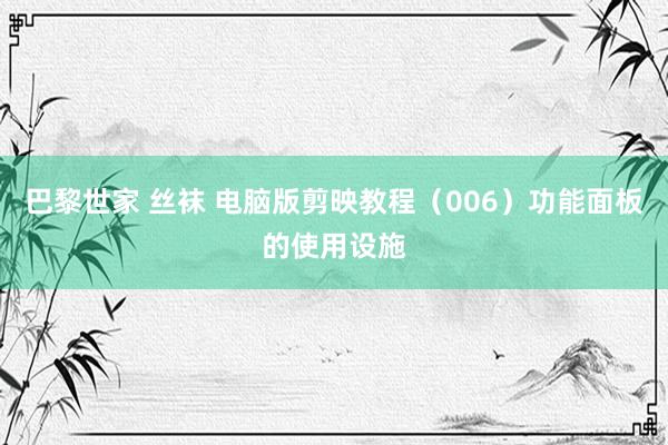 巴黎世家 丝袜 电脑版剪映教程（006）功能面板的使用设施