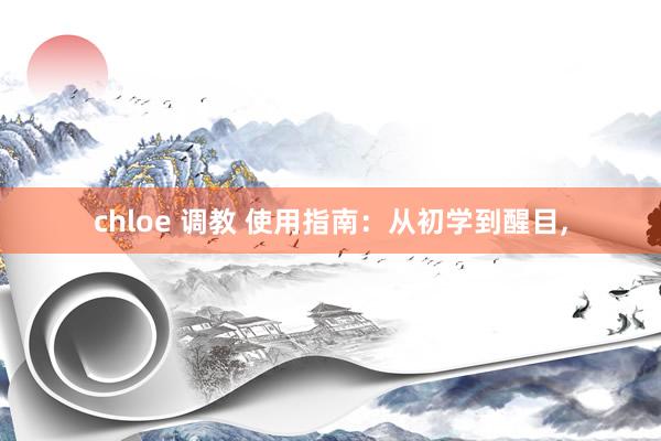 chloe 调教 使用指南：从初学到醒目，